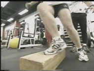 Plyometric Exercises - 560 KB